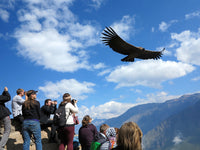 RIDE Peru - 6th to 20th November 2026