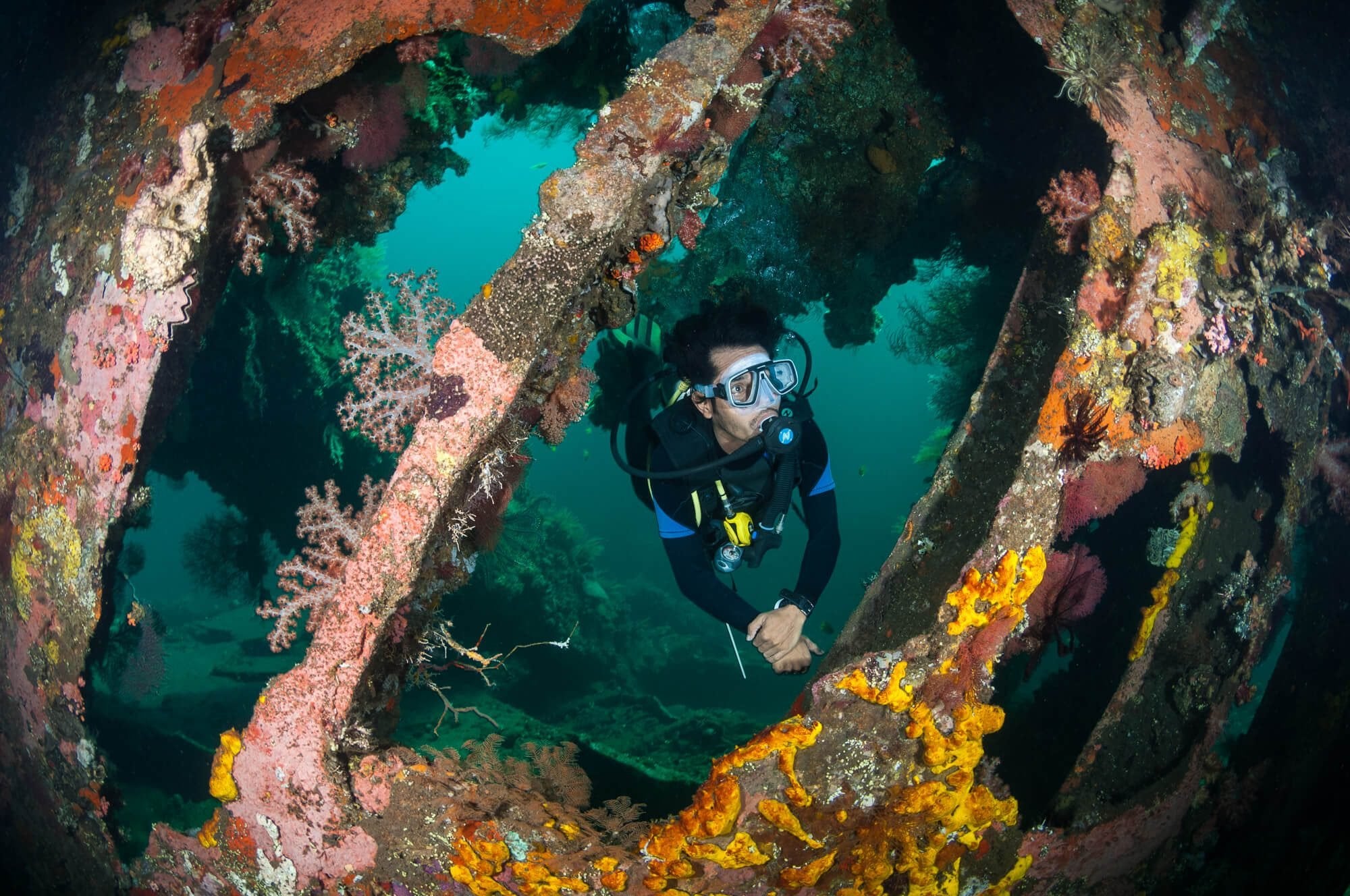Bali_Tulamben_Liberty_Diver_b2ab5cb2-91f1-4466-8724-5760d957012f