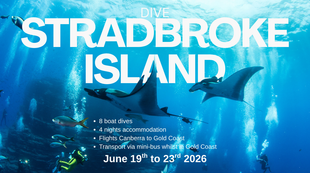 Dive Stradbroke Island, QLD - 19th to 23rd June 2026