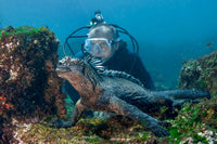 RIDE DIVE Galapagos & Peru - 2nd to 20th November 2026