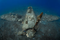 Dive Kimbe Bay, Papua New Guinea - 24th April to 1st May 2026