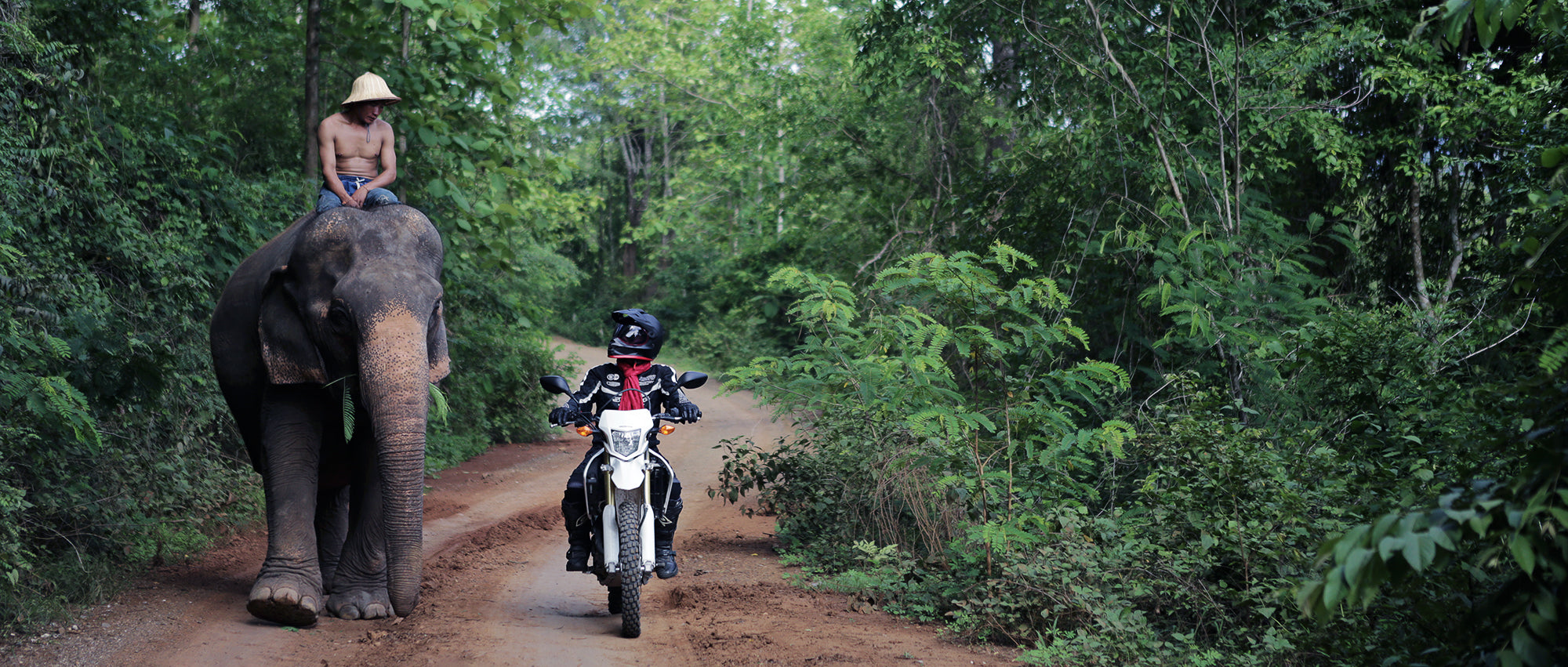 MOTOLAO-laos-motorcycle-elephant-encounter1