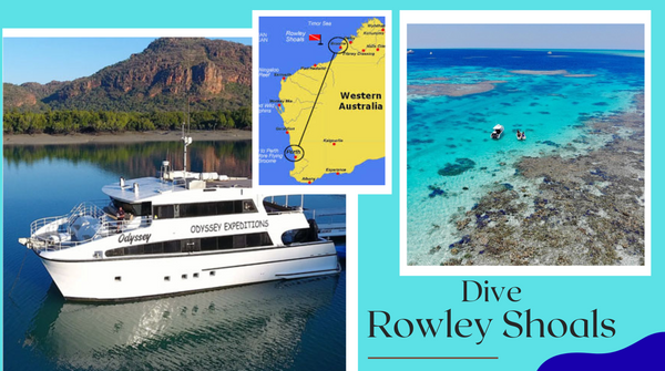 Dive Australia's hidden gem, Rowley Shoals, WA - 21st to 31st October 2027