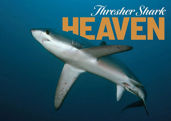 Dive Safari, Malapascua, Philippines - 1st to 12th March 2027